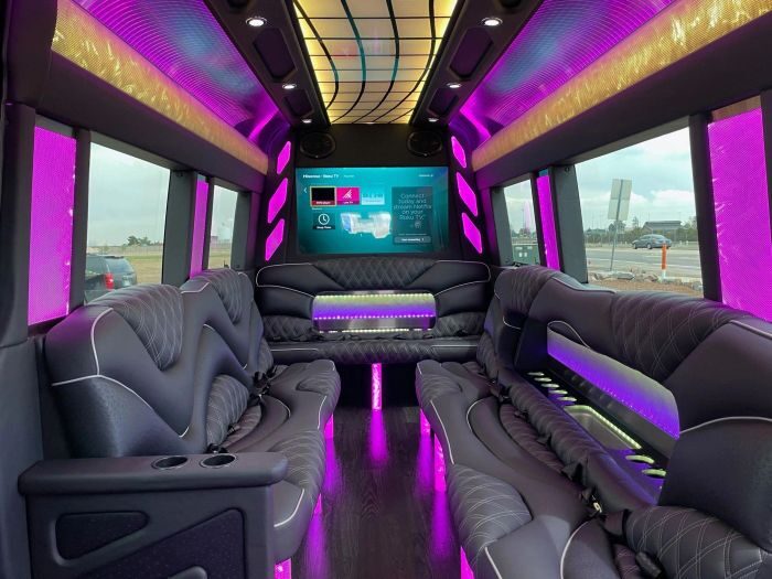 Sprinter limo lounge with TV – Loveland limo service